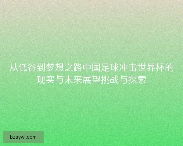 从低谷到梦想之路中国足球冲击世界杯的现实与未来展望挑战与探索