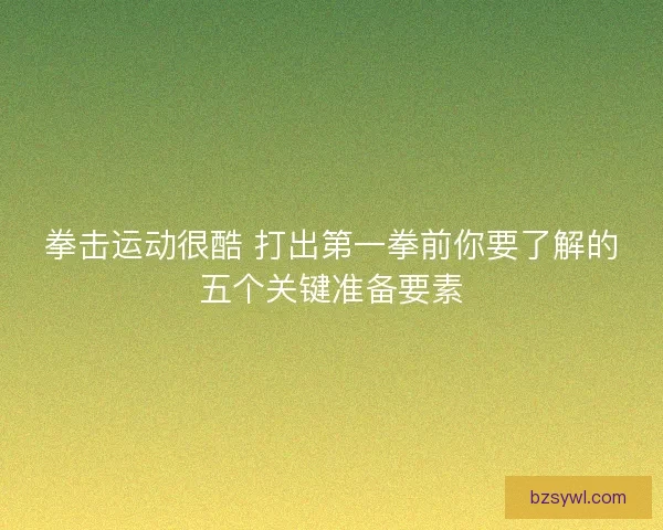 拳击运动很酷 打出第一拳前你要了解的五个关键准备要素